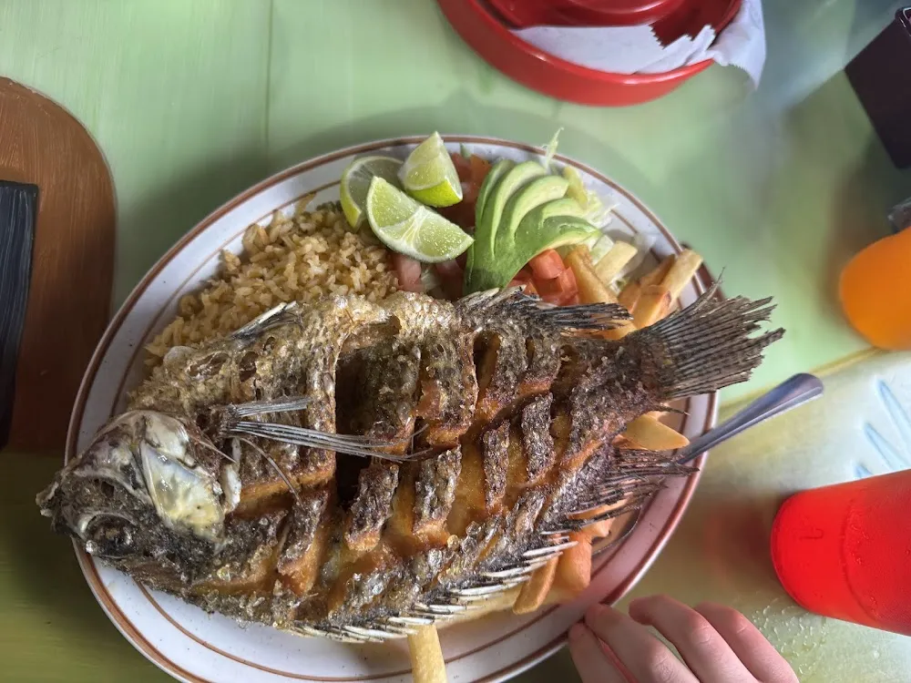 Fish Plate
